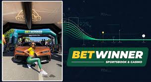 Everything You Need to Know About Betwinner Login Everything You Need to Know About Betwinner Login